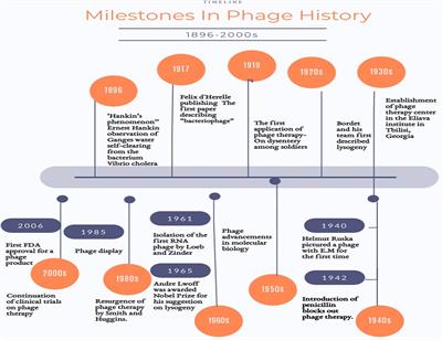 Rekindling of a Masterful Precedent; Bacteriophage: Reappraisal  and Future Pursuits